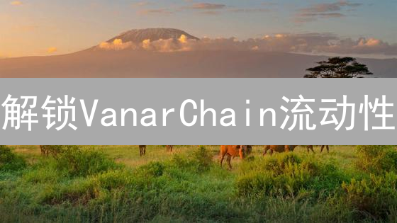 解锁VanarChain流动性：欧易OKX的秘密策略！