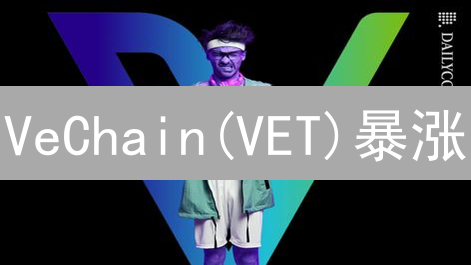 VeChain(VET)暴涨/暴跌？2024年投资机会与风险全解