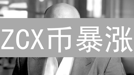 ZCX币暴涨？解密巴西DeFi新星的投资风险与机遇！