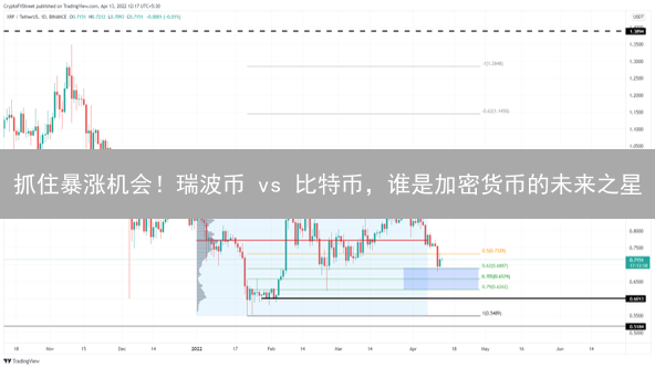 抓住暴涨机会!瑞波币 vs 比特币,谁是加密货币的未来之星? 抓住暴涨机会!瑞波币 vs 比特币,谁是加密货币的未来之星?
